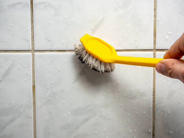 Reliable Brock Hall, MD Mold Removal Solutions