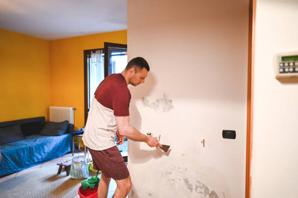 Best Black Mold Removal  in Brock Hall, MD